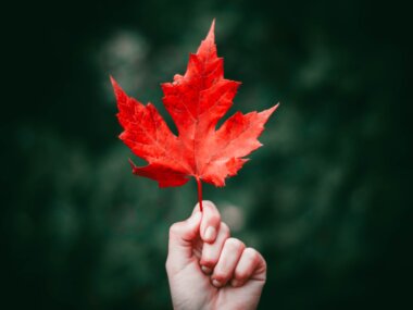 nong vang L0cbdz6 eYU unsplash - Produit variable promo sur 1 06